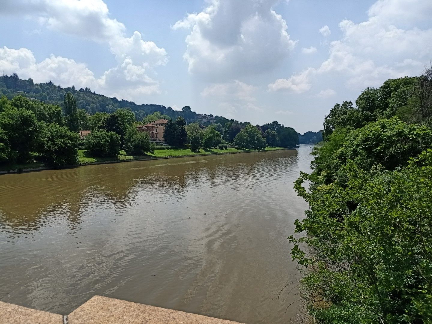 IMG20230615131913